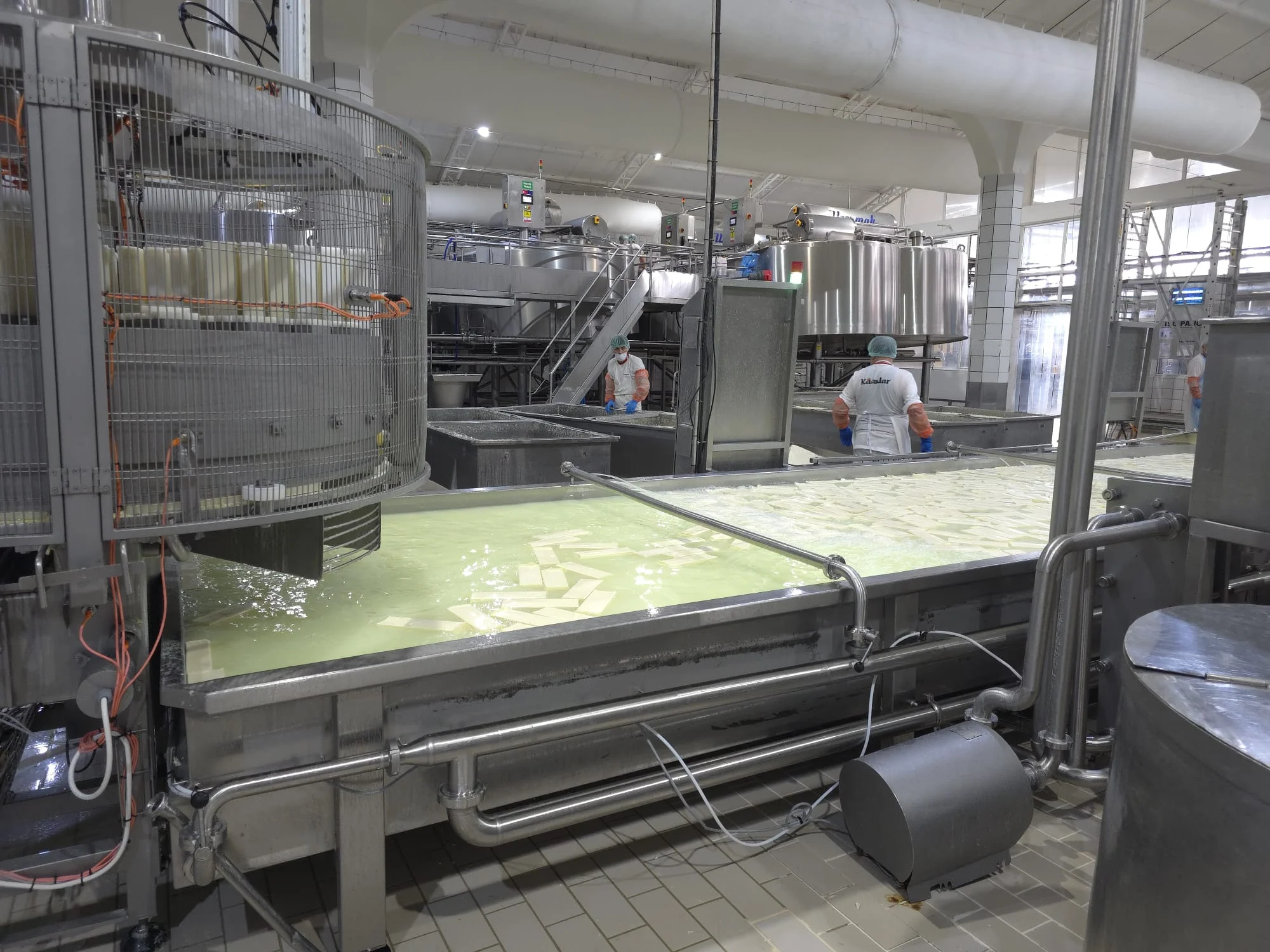 Rotary Molder — real installation in industrial continuous cheese production plant